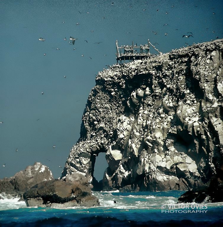 Paracas